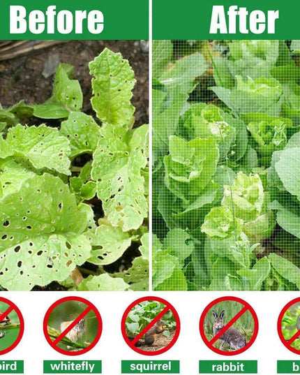 Garden Guardian: Premium Mesh Netting for Thriving Plants