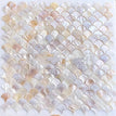 3 - 1pcs / net bottom