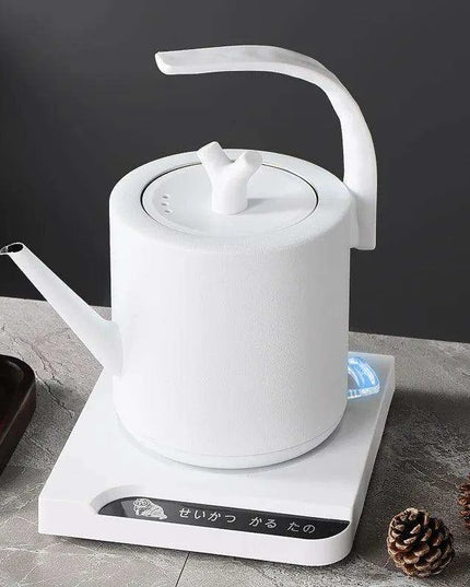 Elegant Precision Electric Kettle with Quick Boil and Temperature Settings