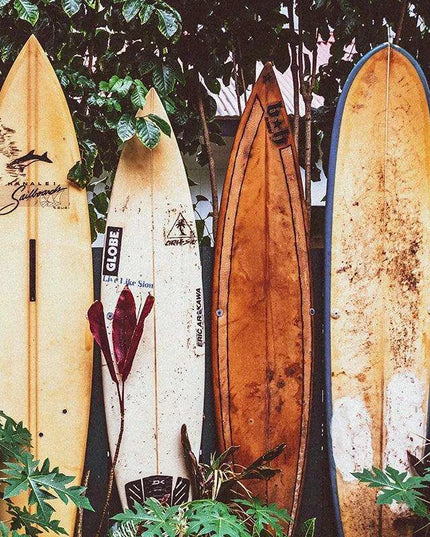 Tropical Waves Coastal Canvas Art Collection - Ocean Escape Series