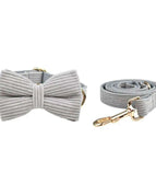 Bow Collar Leash Set