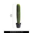 Robust Rosette
