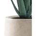 Sleek Contemporary Round Concrete Planter - Perfect for Indoor and Outdoor Use