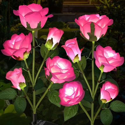 5-Head Solar Rose Garden Lights - White, Red, Blue & Yellow