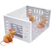 Continuous Cycle Mouse Trap with High-Sensitivity Door and Rust-Resistant Mesh