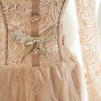 Elegant Lace and Mesh Evening Gown with Dazzling Details