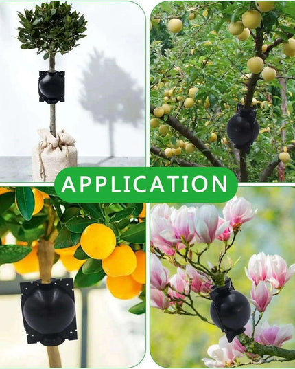 10-Pack High Pressure Rooting Ball Kits for Easy Plant Propagation and Air Layering