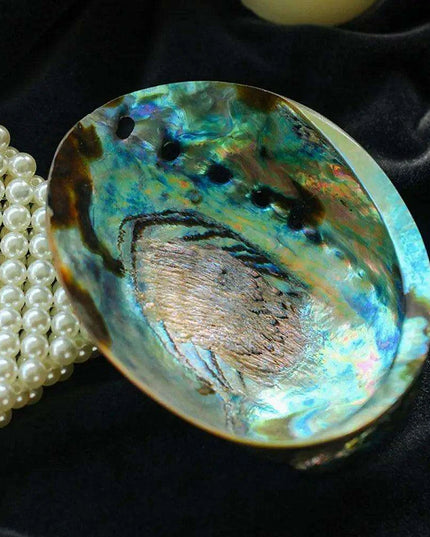 Natural Paua Abalone Shell Smudging Set with Tripod Stand - 11-13CM Eco-Friendly Home Accent