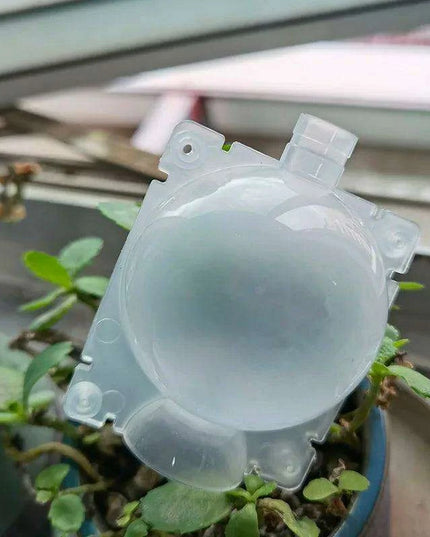 Clear Propagation Sphere for High-Pressure Grafting - Available in 5cm, 8cm, and 12cm Sizes