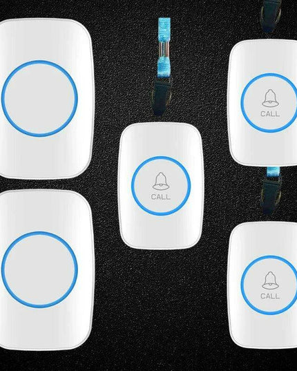 Wireless Emergency Alert System for Seniors with Enhanced Dual Notification and Long-Range Capability