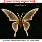 Dynamic B set