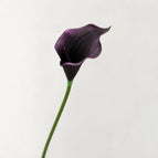 Deep Purple