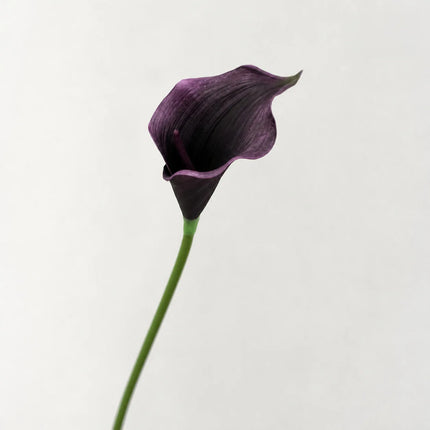 Artificial Calla Lily Flower Stem, 50 cm, Single Stem