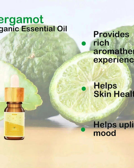 Aromatic Essential Oils for Home Diffusers - 100ml Fragrance Blends for Aromatherapy and Air Freshening