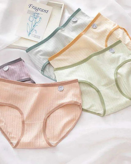 Luxe Lace Cotton Briefs Set - 5-Pack Women's Breathable Underwear in M-2XL Sizes