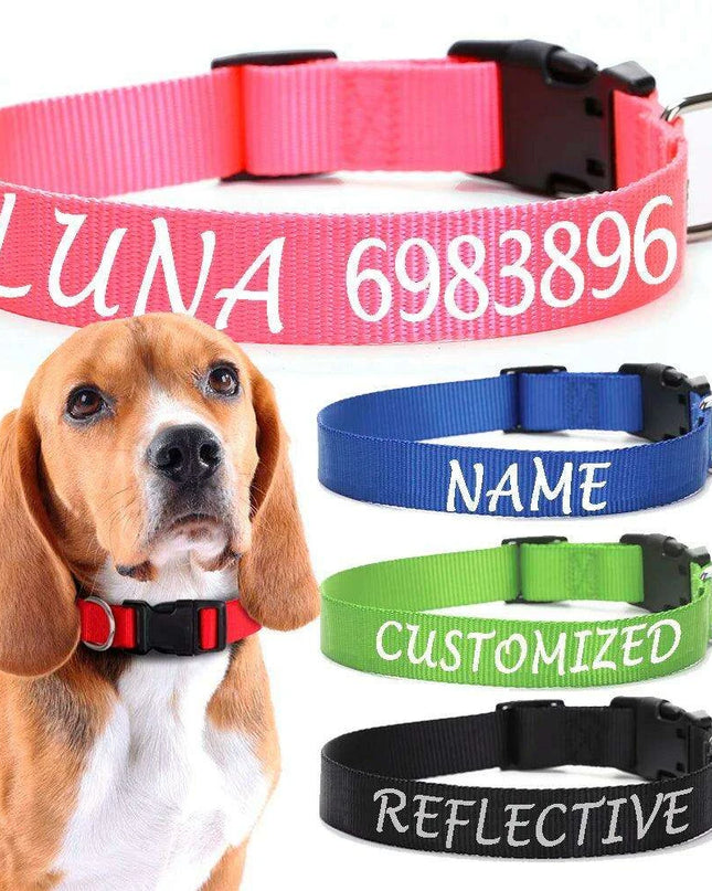 Personalized Nylon Dog ID Collar – Custom Name & Contact Info for Every Dog Breed