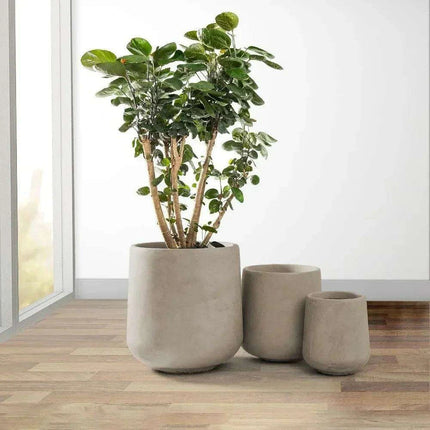 Contemporary Round Concrete Planter Collection with Drainage for Stylish Environments