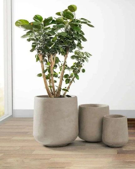Contemporary Round Concrete Planter Collection with Drainage for Stylish Environments