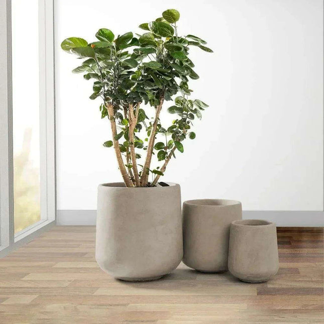 Contemporary Round Concrete Planter Collection with Drainage for Stylish Environments