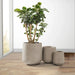 Sleek Concrete Circular Plant Pot Set with Gentle Curves and Drainage Openings