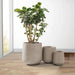 Modern Concrete Round Planter Set with Soft Curves and Drainage Holes