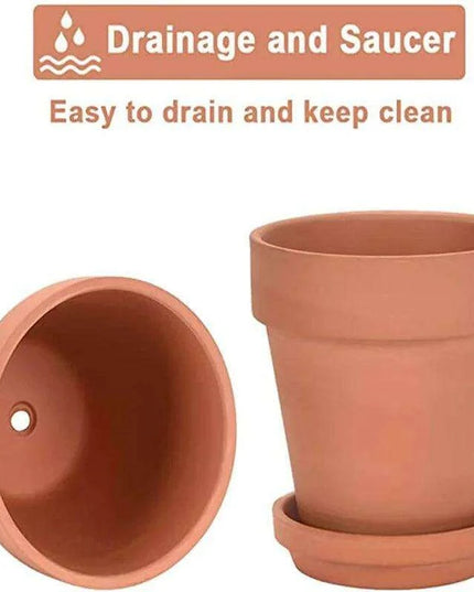 Set of 6 Adorable Mini Terracotta Pots with Saucers - Perfect for Succulents, Cacti, and Herbs - Sturdy Clay Planters for Home and Garden Decoration