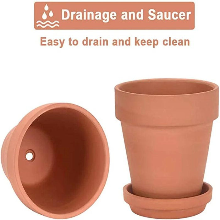 Set of 6 Adorable Mini Terracotta Pots with Saucers - Perfect for Succulents, Cacti, and Herbs - Sturdy Clay Planters for Home and Garden Decoration