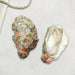 BBQ Oyster Miniature Toy - Elegant Scallop Shell Design