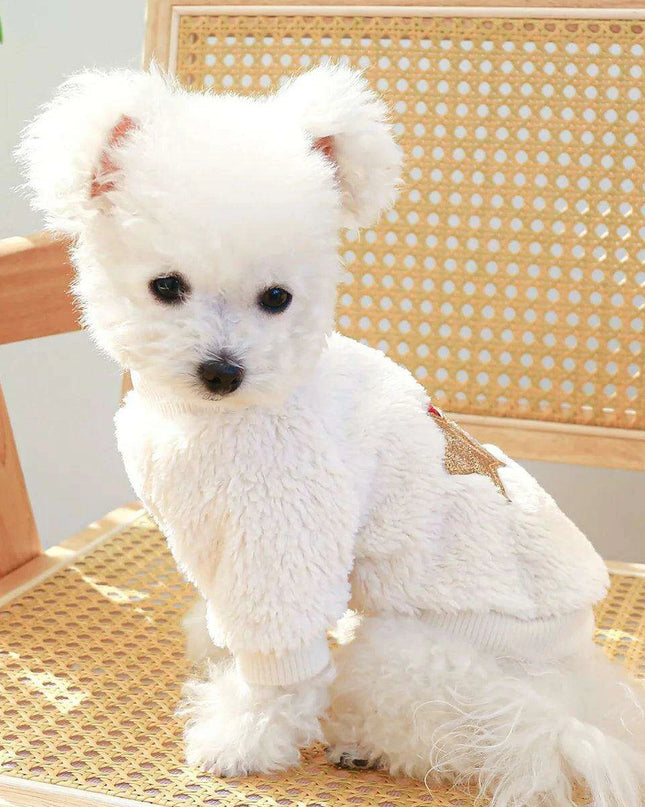 Stylish Insulated Hoodie for Small to Medium Dogs – Adjustable Cozy Pullover