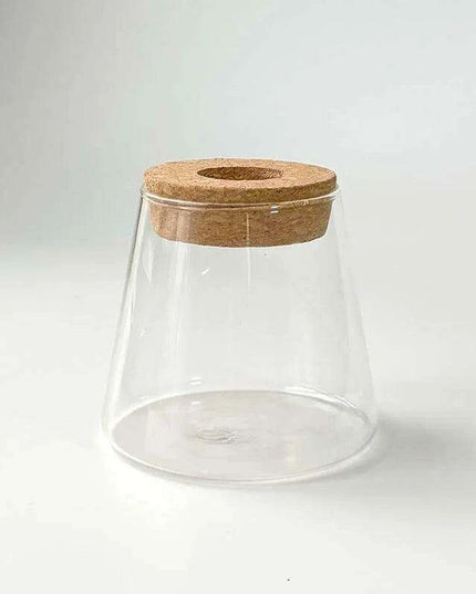 Chic Hydroponic Glass Vase - Modern Mini Planter for Stylish Home Decor