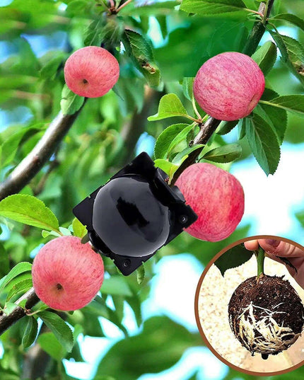 10-Pack Reusable Plant Rooting Spheres for Seamless Air Layering and Propagation