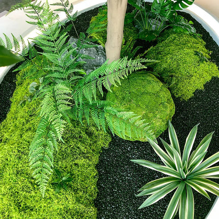 High-end horse drunk wood real plant window landscaping interior decoration tree green plants large fake tree simple landscape high-end-horse-drunk-wood-real-plant-window-landscaping-interior-decoration-tree-green-plants-large-fake-tree-simple-landscape
