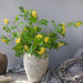 98cm Lifelike Artificial Bean Locust Flower Arrangement