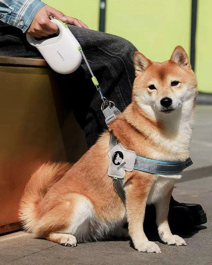 Ultimate Retractable Dog Lead for Safe and Controlled Outdoor Adventures