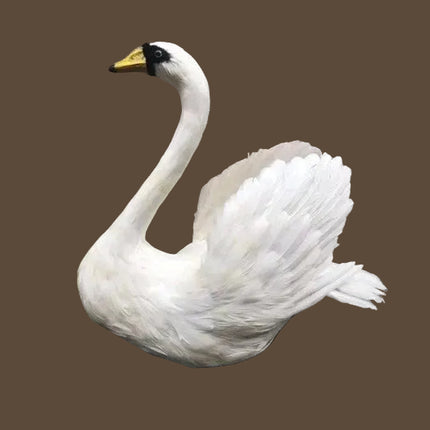 Realistic Swan Garden Decoration — Foam & Feather, 50×55 cm