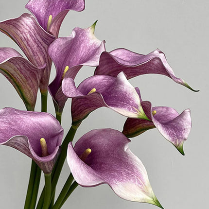 Artificial Calla Lily Flower Stem, 50 cm, Single Stem