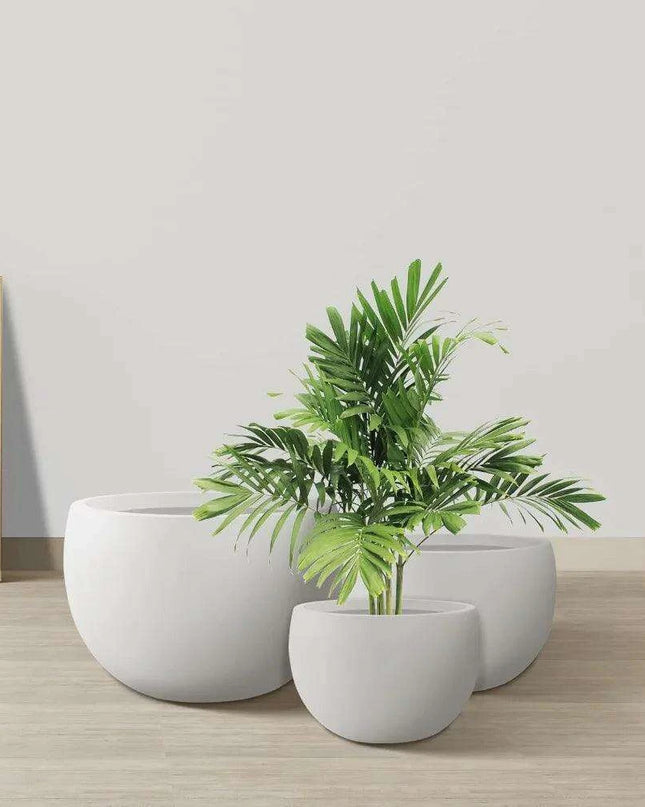 Set of 3 Modern White Concrete Round Planters - Elegant Plant Pot Trio