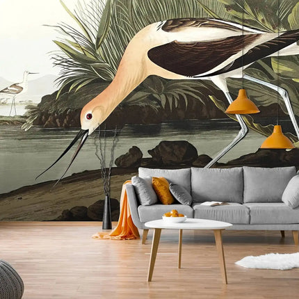American Avocet Bird Mural Wallpaper — Non-Woven, Custom Sizes