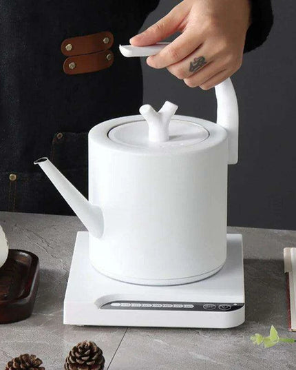 Elegant Precision Electric Kettle with Quick Boil and Temperature Settings