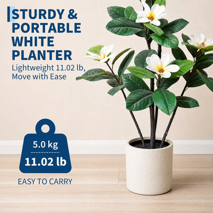 Artificial Magnolia Tree with White Flowers & White Pot, 150–180 cm