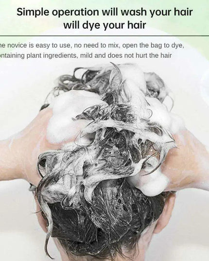 Botanical Bubble Hair Dye Kit - Complete Gray Coverage & Nourishing Plant Essences
