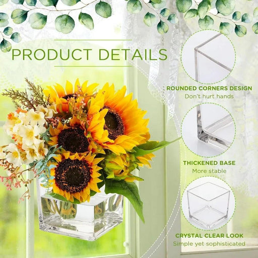 Stylish 16-Piece Square Glass Vase Set - Crystal Clear Home Accent Decor