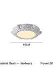 1011 D65CM Ceiling / changeable