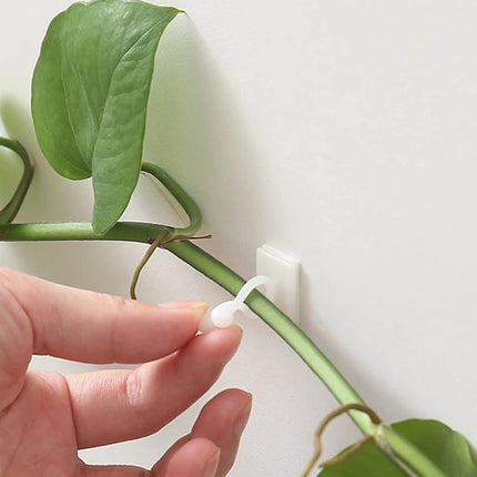 Self-Adhesive Plant Climbing Wall Clips — Leaf-Shaped Vine Fixers, 10pcs