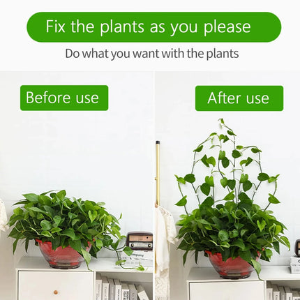 Self-Adhesive Plant Climbing Wall Clips — Leaf-Shaped Vine Fixers, 10pcs