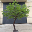 green / 2m 6.5ft