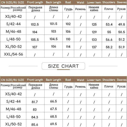 Chic Sheer Belted Dress for Women - Modern Minimalist Summer Style