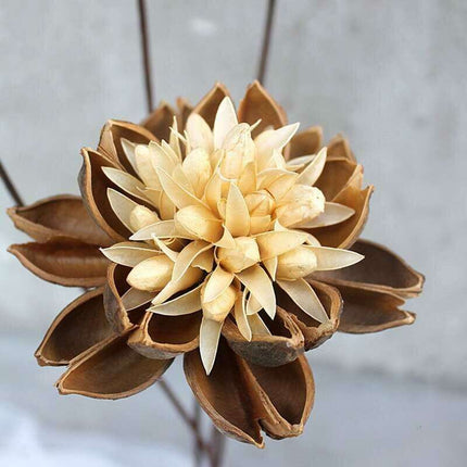 Artisanal Lotus Blossom Bouquet: A Rustic Touch for Your Home