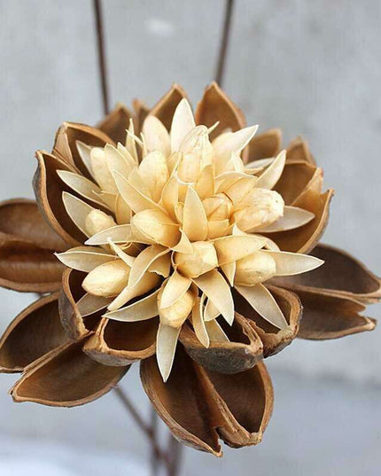 Artisanal Lotus Blossom Bouquet: A Rustic Touch for Your Home