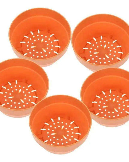 Set of 6 Chic Clay Planters - 12.5cm Pots for Indoor & Outdoor Succulent and Herb Gardening